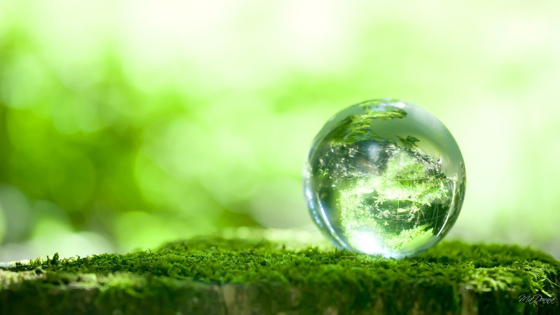 Cluster-Têxtil-Conference | Brokerage Event Green Growth and Circular Economy Thinking